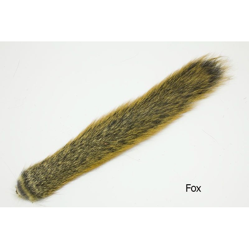 Squirrel Tail