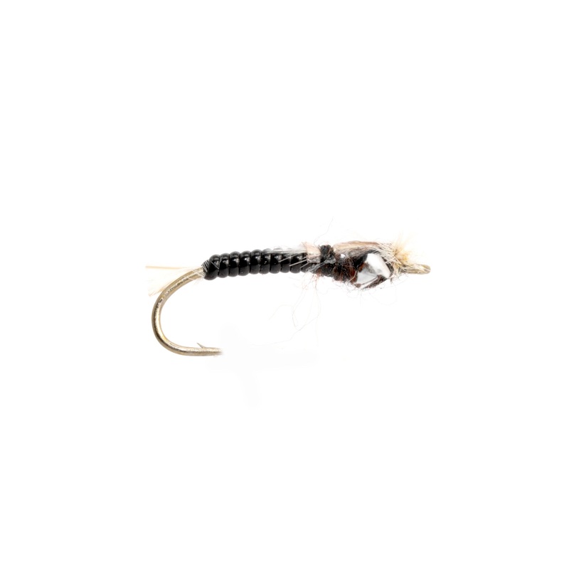 Stalcup Chironomid