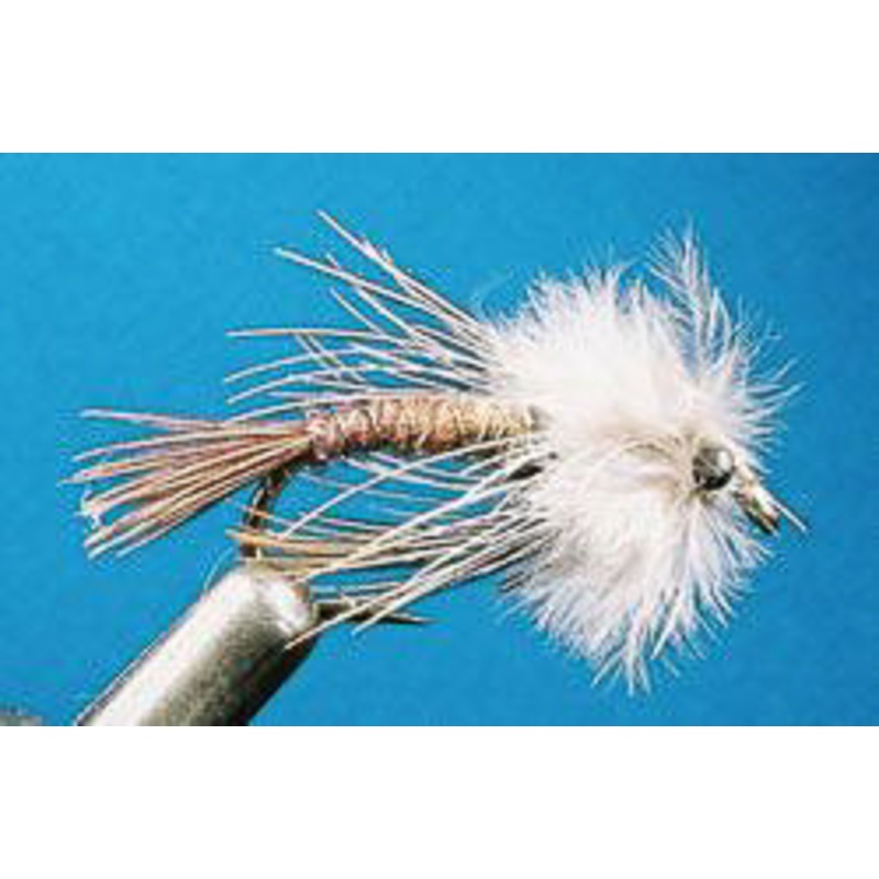 Strung Ringneck Pheasant Rump
