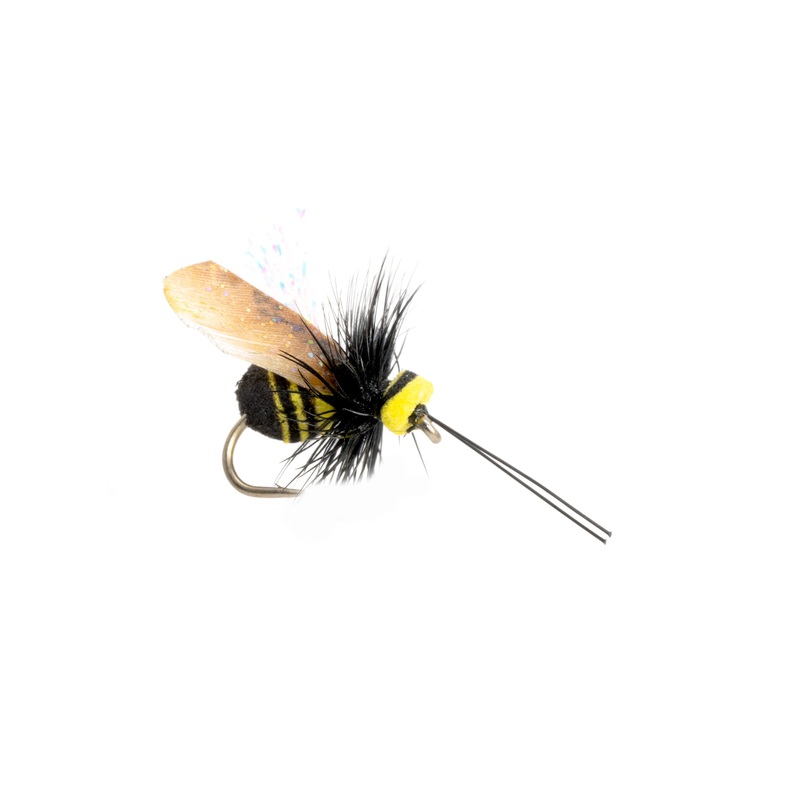 Busy Bee