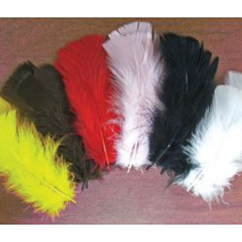 Turkey T-Base Feathers