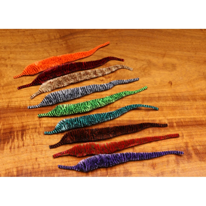 Variegated Mini Mangum Dragon Tails