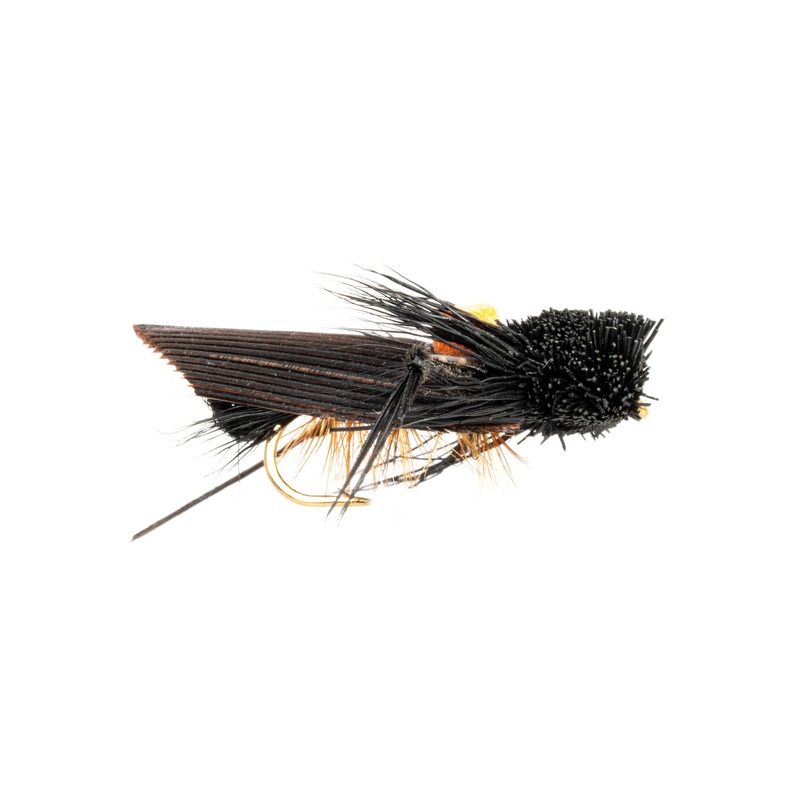 Whitlocks Bright Spot Cricket