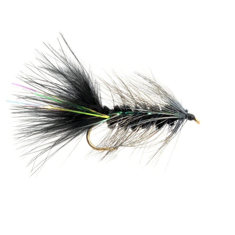 Woolly Bugger
