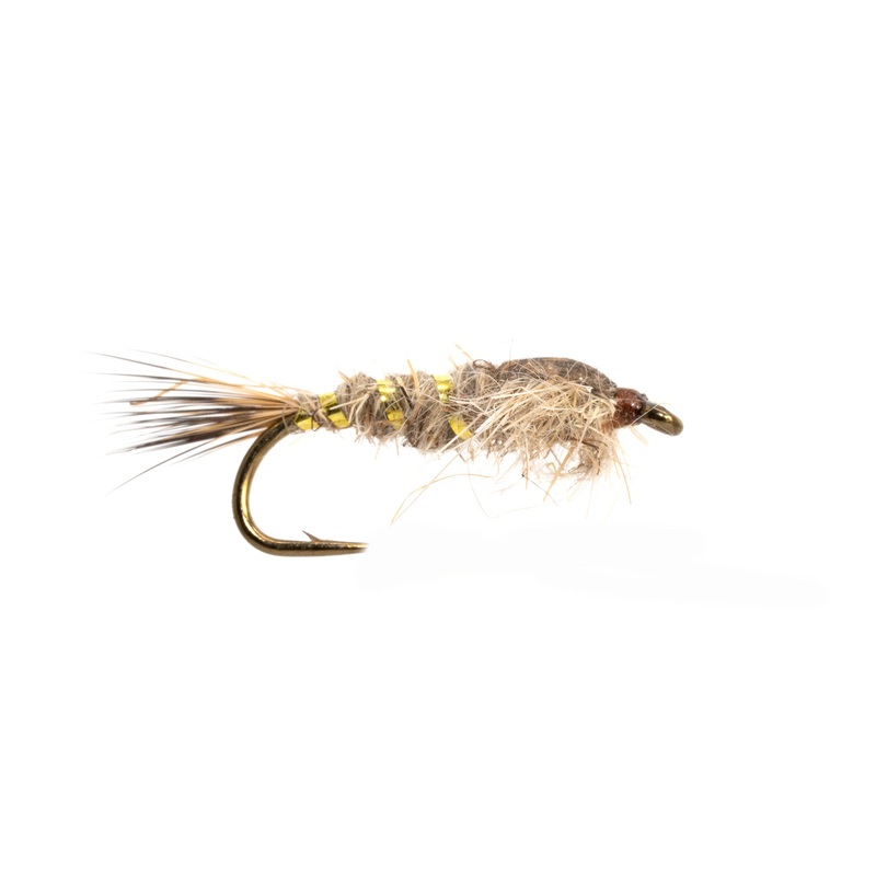 Gold Ribbed Hares Ear