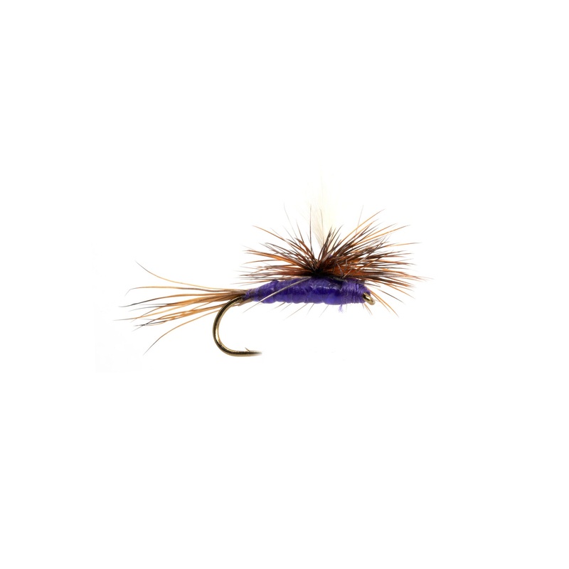 Parachute Purple Adams