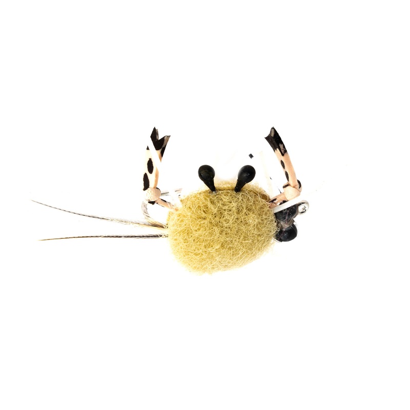 Samsons Stone Crab
