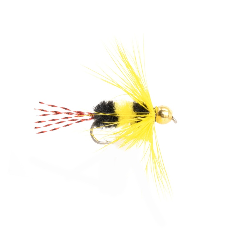 Bluegill Bee