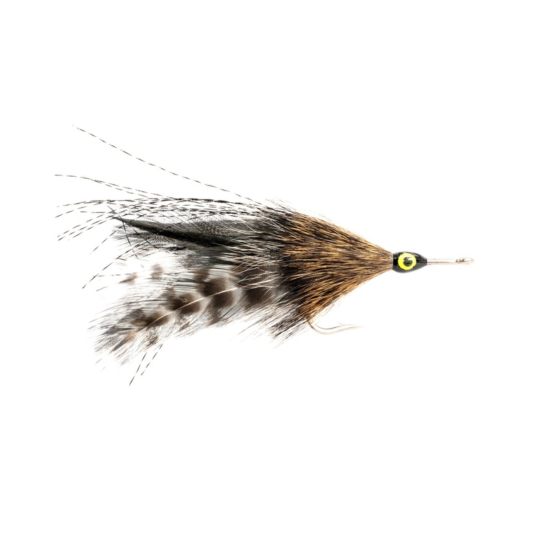 Cockroach