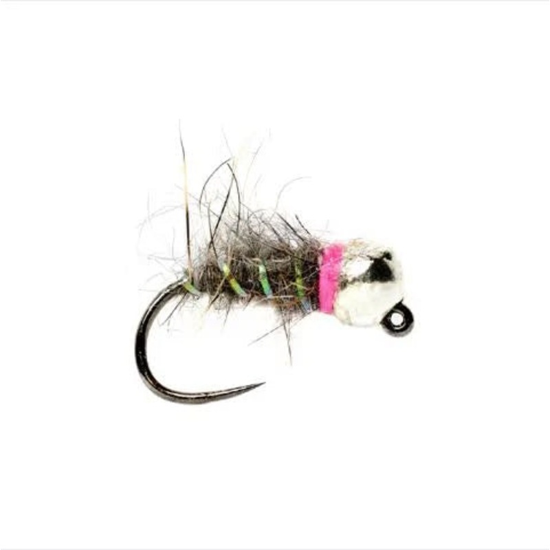 Tung Bomb Sob – Czech Grey
