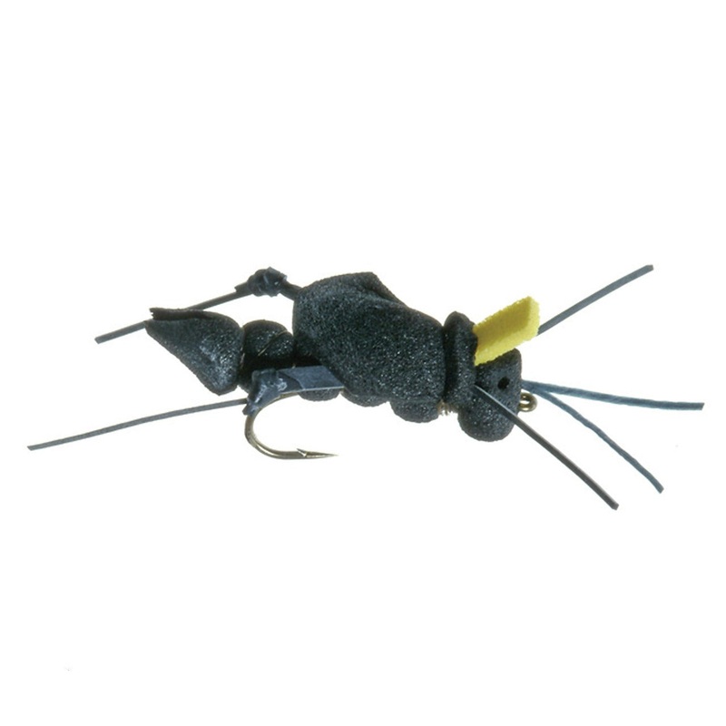 Big Secret Cricket