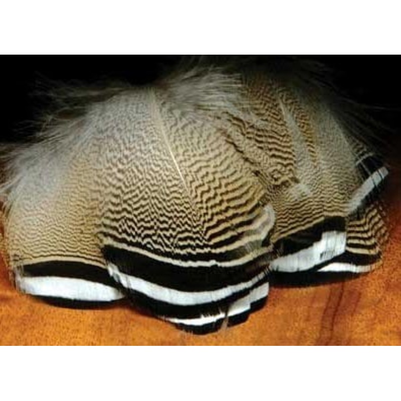 Black & White Tip Wood Duck Flank