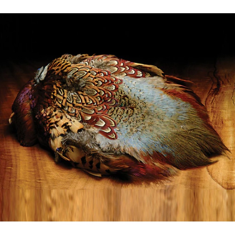 Cock Ringneck 1/2 Pheasant Skins