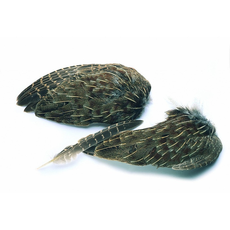 English Grouse Wings