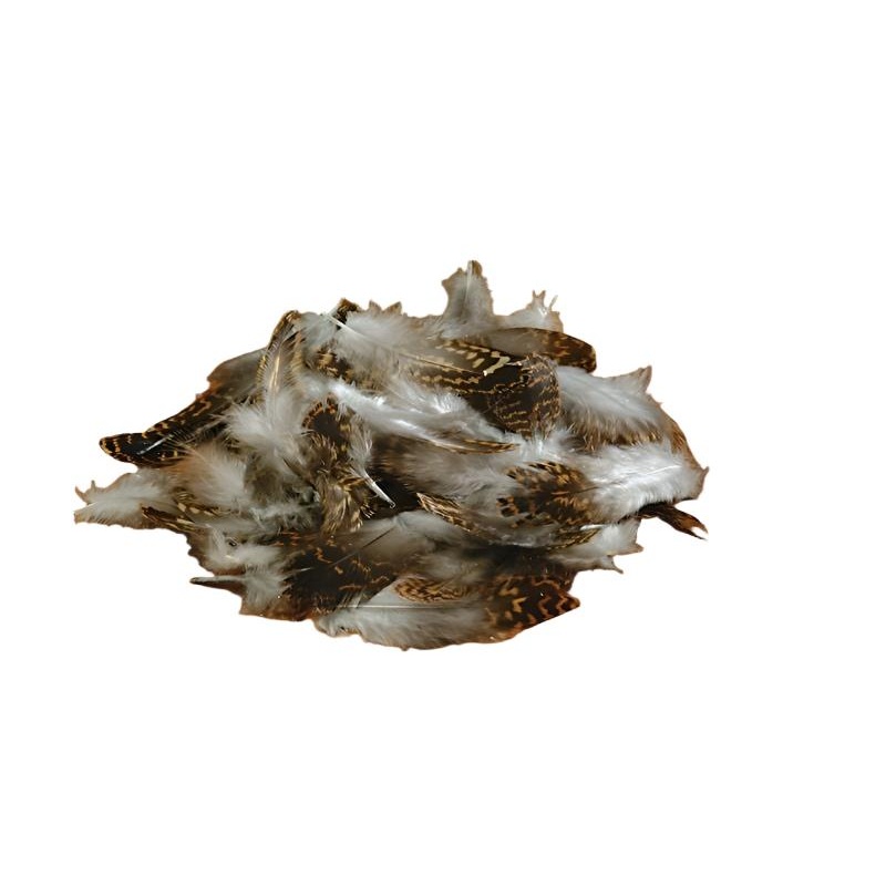 Euro Grouse Body Feathers