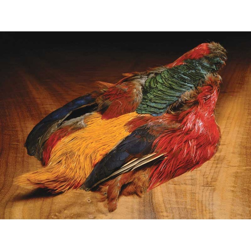Feather-Craft Golden Pheasant 1/2 Skins
