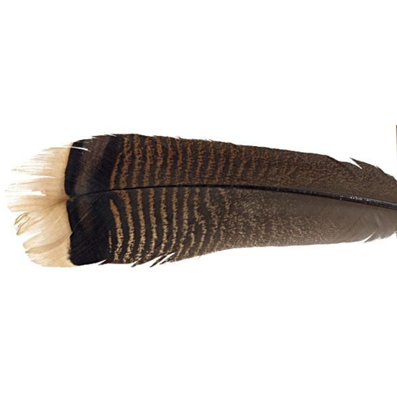 Feather-Craft Large Wild Turkey Tail Feathers