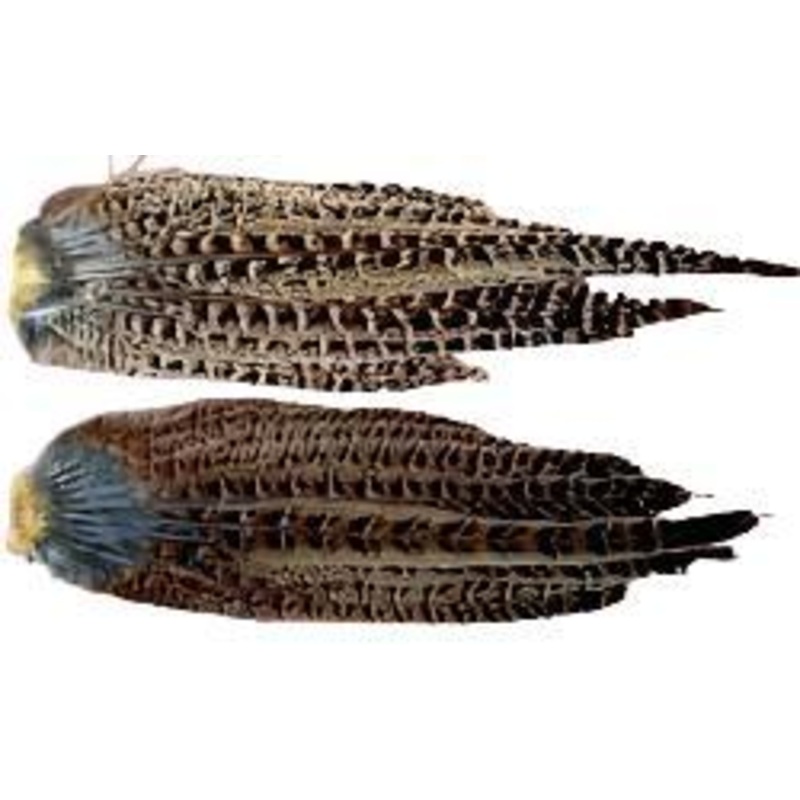 Hen Pheasant Tail Whole Clumps
