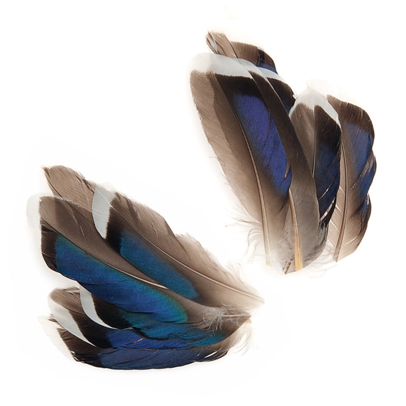 Mallard Mcginty Quills
