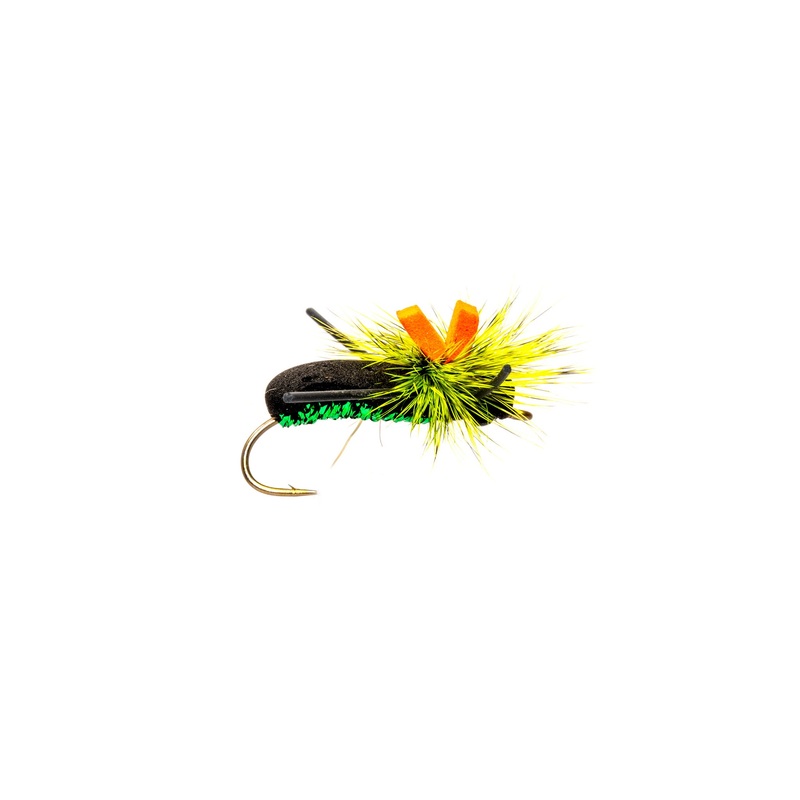 Monster Beetle