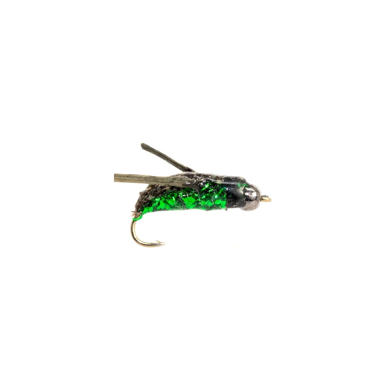 Morris Water Boatman