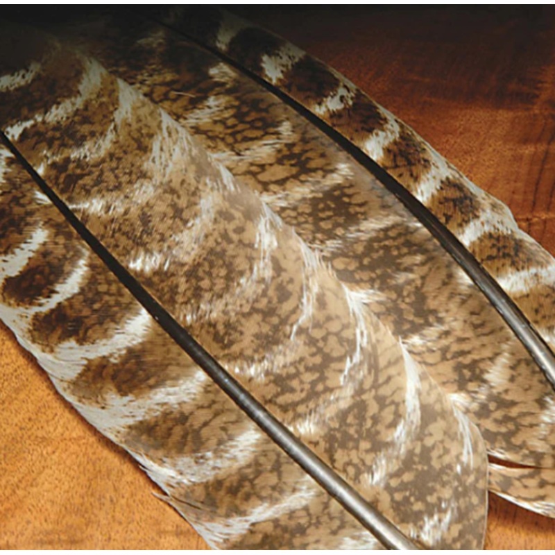 Ozark Oak Mottled Wild Turkey Wing Quills