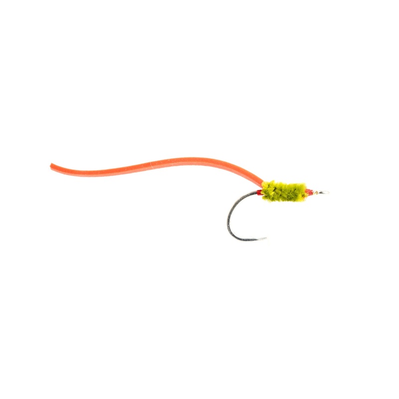 Peterson’s Palolo Worm