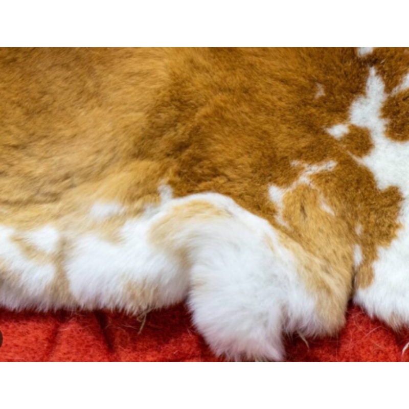 Rabbit Hide – Ed’S Hides (Tan To Cream) Large Piece