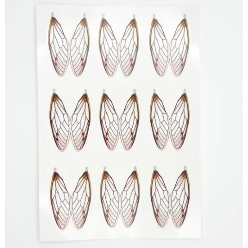 Surface Seducer Cicada Wings
