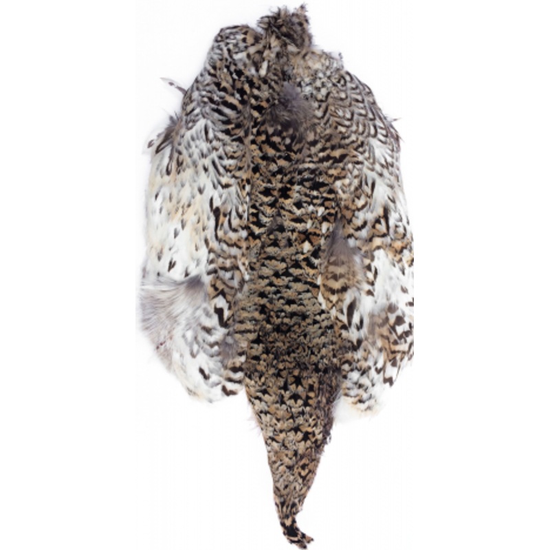 Wild #1 Sharptail Grouse Skin