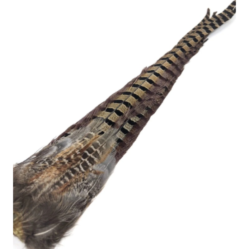 Wild Cock Ringneck Pheasant –  Whole Tail Clumps