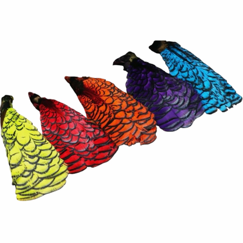 Complete Lady Amherst Pheasant Head