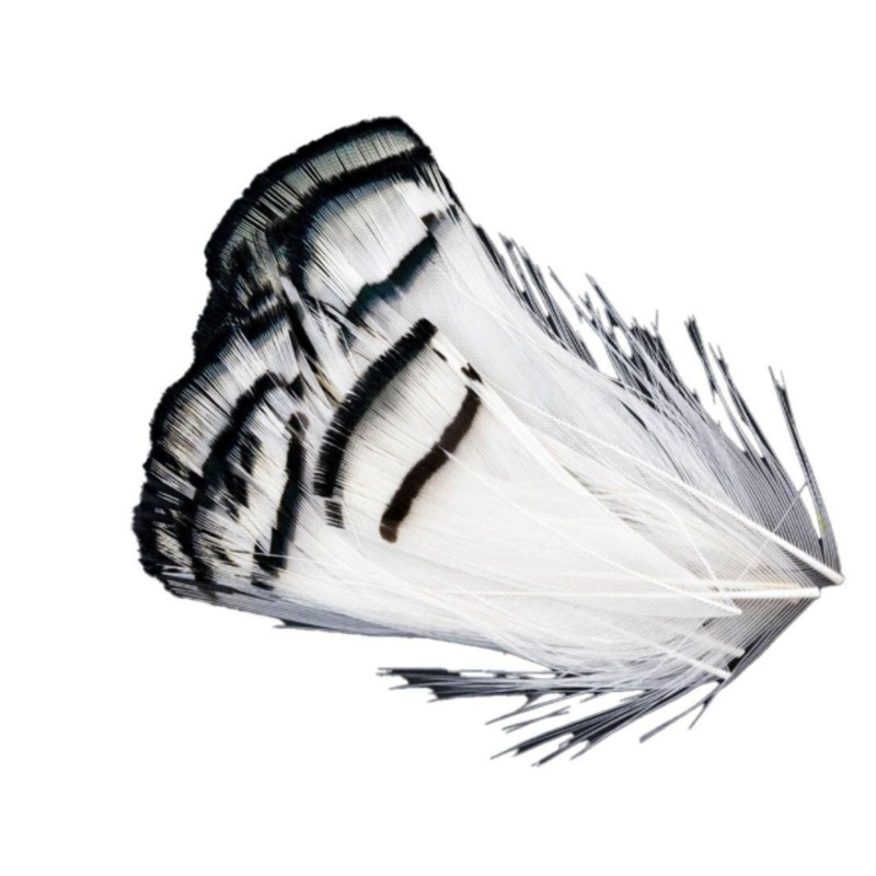 Lady Amherst Pheasant Tippets