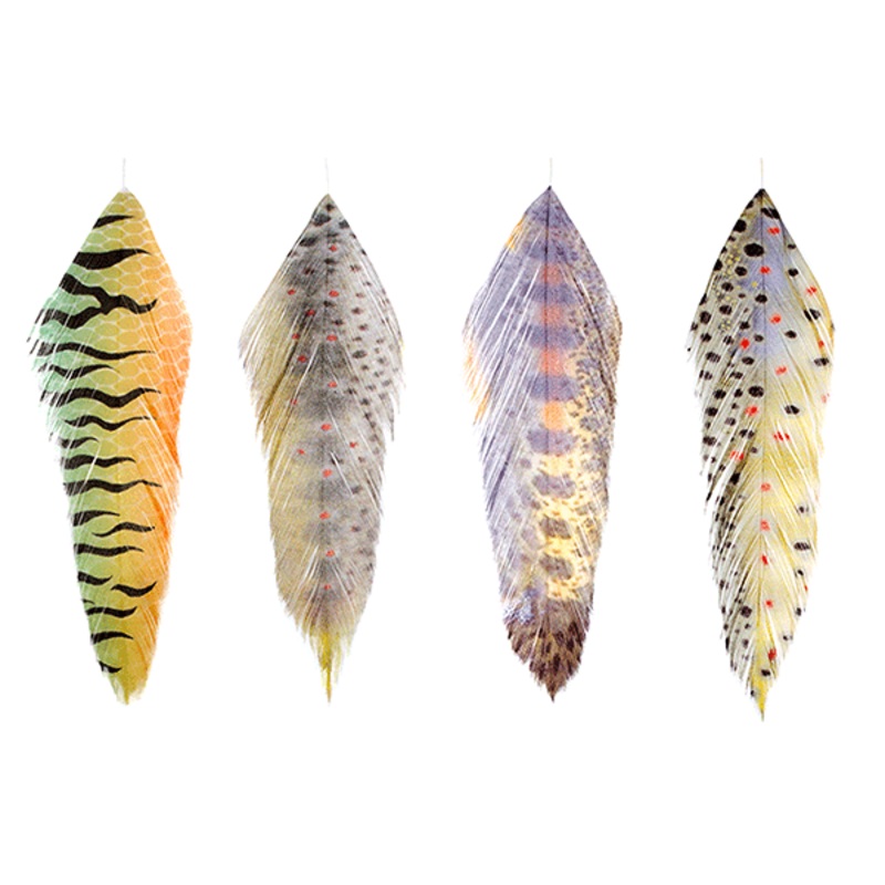 MFC Fish Feathers
