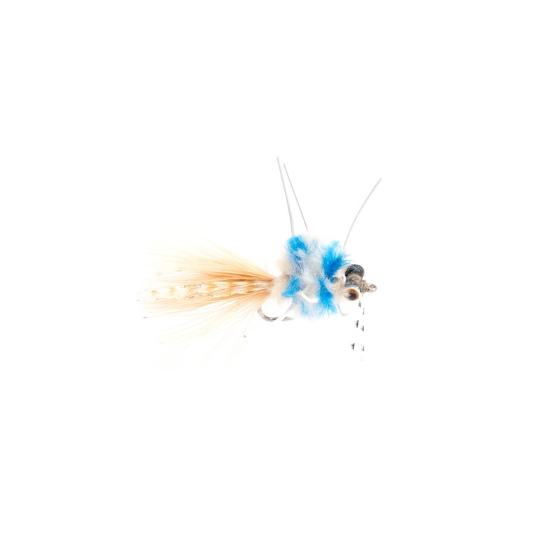Blue Crab