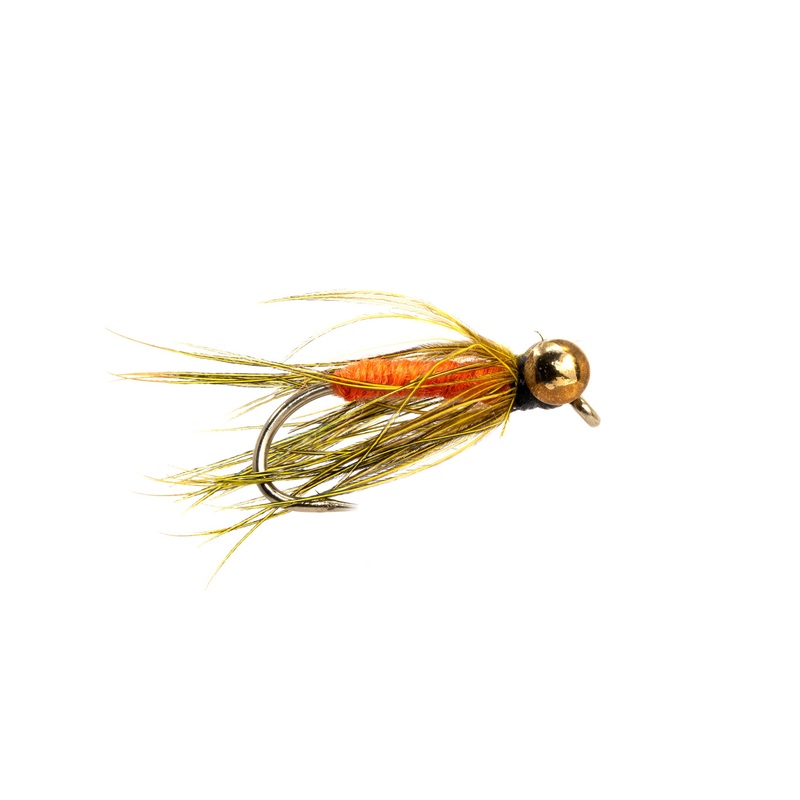 Carp Carrot