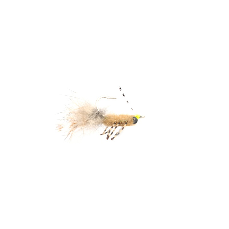 Casa Blanca Raghead Crab