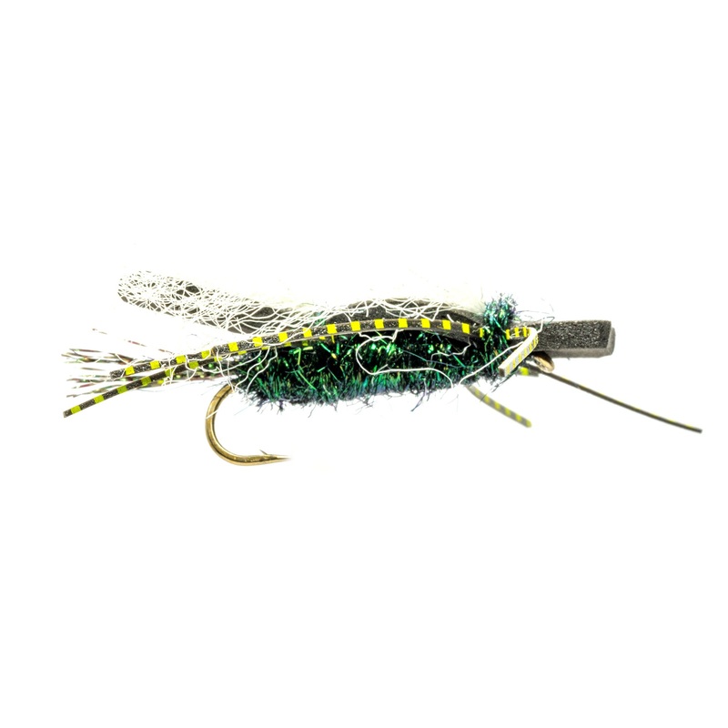Chubby Chernobyl Cicada