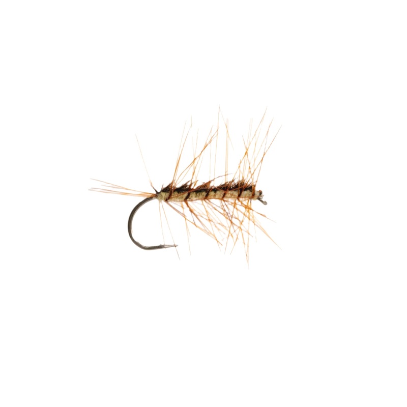 Crackleback