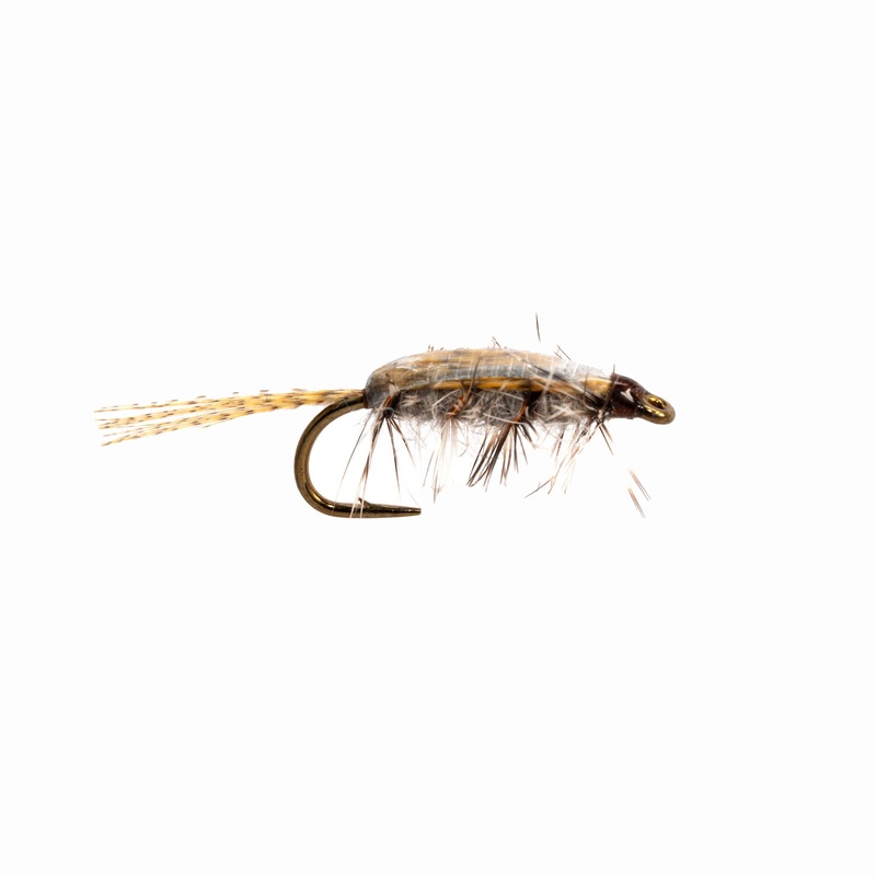 Denny’s Callibaetis Nymph