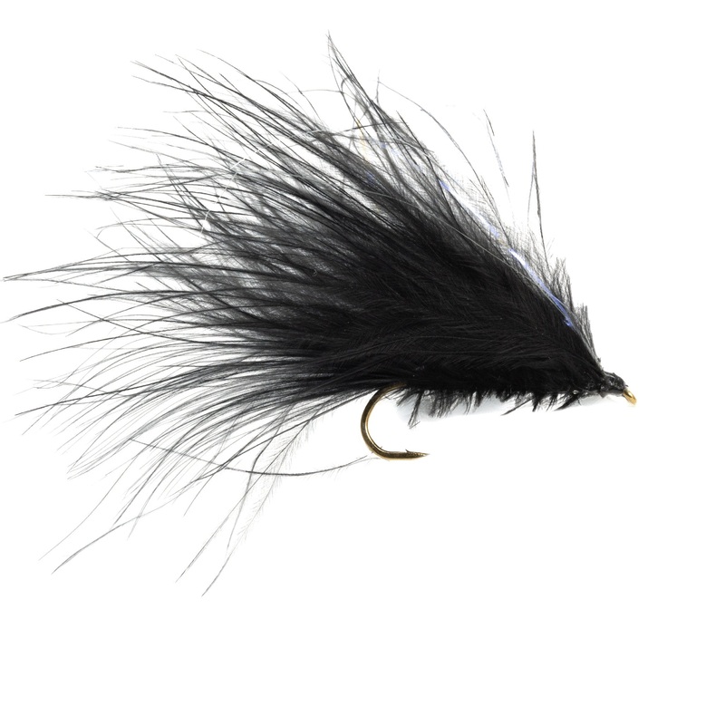 Denny’s Leech