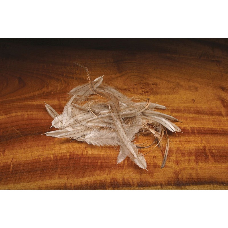 Emu Feathers