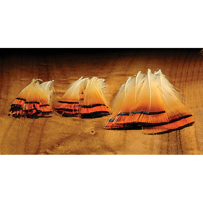 Golden Pheasant Tippets
