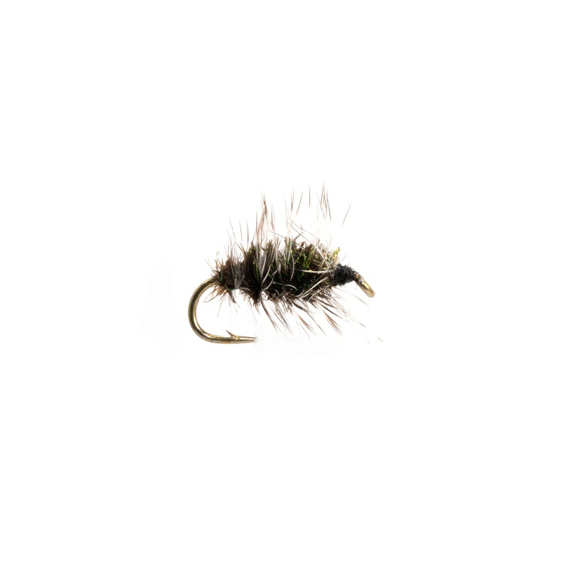 Griffiths Gnat
