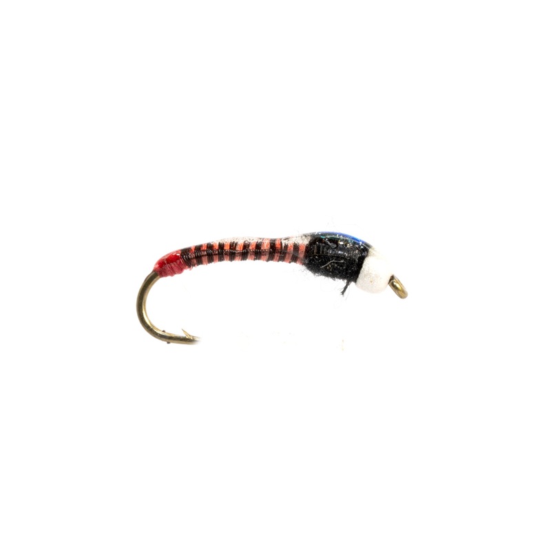Jumbo Juju Chironomid