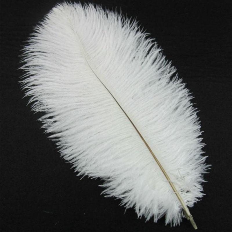 Large Ostrich Plumes