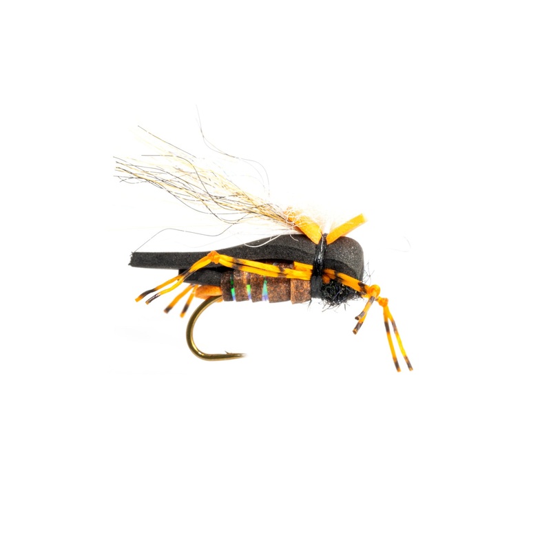 Masons Hipster Doofus Cicada