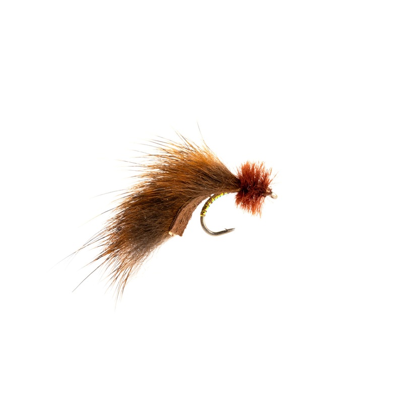 Mayers Micro Leech