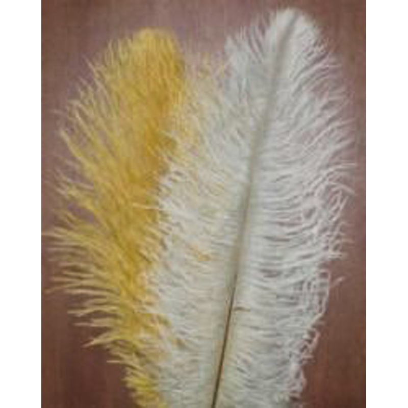 Med Ostrich Plumes