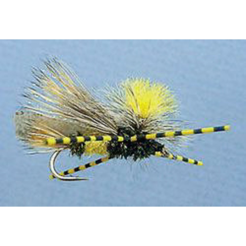 MFC Speckled Centipede Legs – Black Barred